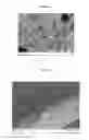 Fig. 02 - Composite material with properties of self-healing and release of active ingredients, for biomedical applications