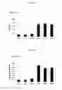 Fig. 06 - Composite material with properties of self-healing and release of active ingredients, for biomedical applications