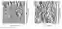 Fig. 01 - Biofilm resistant polymer materials