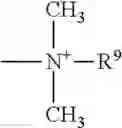 Fig. 19 - Dental restorative material based on an antimicrobially active compound