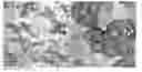 Fig. 01 - BLOCK COPOLYMERS IN SOFT COMPOUNDS