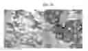 Fig. 08 - BLOCK COPOLYMERS IN SOFT COMPOUNDS