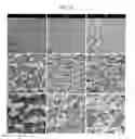 Fig. 10 - BLOCK COPOLYMERS IN SOFT COMPOUNDS