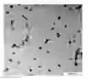 Fig. 01 - Functionalized vinyl polymer nanoparticles
