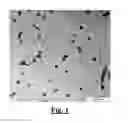 Fig. 02 - Functionalized vinyl polymer nanoparticles