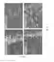 Fig. 06 - Polymerizable catonic peptide monomers and polymers