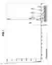 Fig. 02 - Amino acid-modified silane compounds and making method