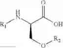 Fig. 08 - Processes for the preparation of lacosamide and intermediates thereof