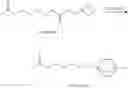 Fig. 43 - Method for preparing water-soluble polymer derivatives bearing a terminal carboxylic acid
