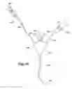 Fig. 09 - IN-VIVO VISUALIZATION SYSTEM