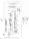 Fig. 02 - ULTRASONIC DIAGNOSTIC DEVICE, METHOD FOR GENERATING IMAGE FOR EVALUATING DISORDER OF PART TO BE DIAGNOSED OF OBJECT, AND PROGRAM FOR GENERATING IMAGE FOR EVALUATING DISORDER OF PART TO BE DIAGNOSED OF OBJECT