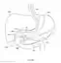 Fig. 331 - Robotic catheter system and methods