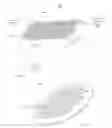 Fig. 02 - WOUND STASIS DRESSING FOR LARGE SURFACE WOUNDS
