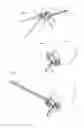 Fig. 05 - EYE MARKER FOR EYE SURGERY