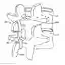 Fig. 01 - STRUCTURES AND METHODS FOR CONSTRAINING SPINAL PROCESSES WITH SINGLE CONNECTOR