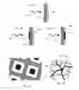 Fig. 02 - Fractal interconnects for neuro-electronic interfaces and implants using same