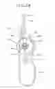 Fig. 24 - Stent and stent delivery system