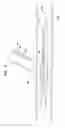 Fig. 05 - BIFURCATION CATHETER DUAL BALLOON BOND AND METHODS