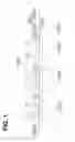Fig. 02 - Eyeglass lens supplying system