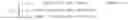 Fig. 02 - Existent person count estimation apparatus