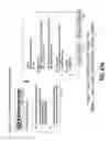 Fig. 59 - Method and Apparatus for Improved Customer Direct On-Line Reservation of Rental Vehicles