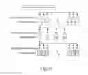 Fig. 12 - POPULATION MOBILITY ESTIMATION SYSTEM, POPULATION MOBILITY ESTIMATION METHOD, AND POPULATION MOBILITY ESTIMATION PROGRAM