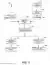 Fig. 03 - Method and system for targeted advertising based on topical memes