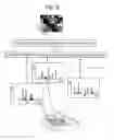 Fig. 09 - Mass analysis data processing method and mass spectrometer using the same
