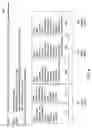 Fig. 09 - Abstract data model extension through managed physical statement structures