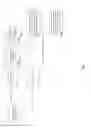 Fig. 19 - Digital media and social networking system and method