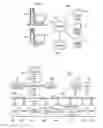 Fig. 02 - PROCESSING EXTENSIBLE MARKUP LANGUAGE SECURITY MESSAGES USING DELTA PARSING TECHNOLOGY
