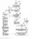Fig. 01 - Systems and methods for verifying the authenticity of a remote device