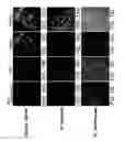 Fig. 23 - Generating genotypic variations in plant genomes by gamete infection