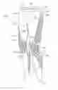 Fig. 01 - Lower body garment with elasticity-reducing panel