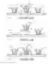 Fig. 06 - Plant package and methods of forming same using a thermoplastic flower pot