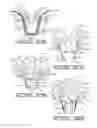 Fig. 12 - Plant package and methods of forming same using a thermoplastic flower pot
