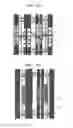 Fig. 09 - Method of constructing prefabricated steel reinforced concrete (PSRC) column using angle steels and PSRC column using angle steels