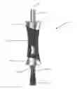 Fig. 01 - FOOD INFUSER DEVICE, SYSTEM AND METHOD
