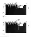 Fig. 02 - FLOOR RELIEF FOR DOT IMPROVEMENT