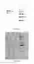 Fig. 09 - Electro-blotting devices, systems, and kits and methods for their use
