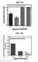 Fig. 16 - ELECTROCHEMICAL CARBON NANOTUBE FILTER AND METHOD