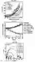 Fig. 30 - ELECTROCHEMICAL CARBON NANOTUBE FILTER AND METHOD