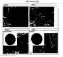 Fig. 48 - ELECTROCHEMICAL CARBON NANOTUBE FILTER AND METHOD