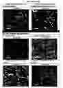 Fig. 57 - ELECTROCHEMICAL CARBON NANOTUBE FILTER AND METHOD