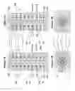Fig. 02 - Ultrahigh density vertical NAND memory device