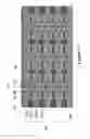 Fig. 12 - Ultrahigh density vertical NAND memory device