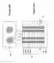 Fig. 31 - Ultrahigh density vertical NAND memory device