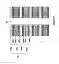 Fig. 52 - Ultrahigh density vertical NAND memory device