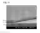 Fig. 12 - SOI SUBSTRATE AND METHOD FOR MANUFACTURING SOI SUBSTRATE
