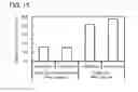 Fig. 16 - SOI SUBSTRATE AND METHOD FOR MANUFACTURING SOI SUBSTRATE